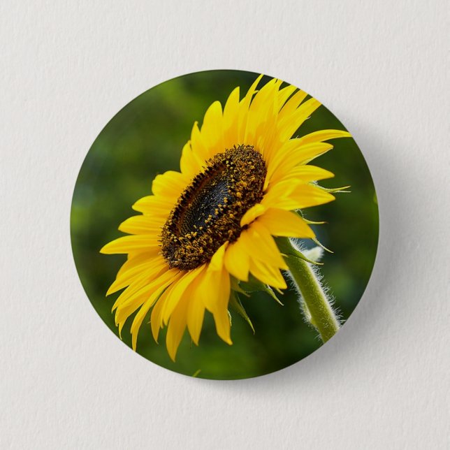 Badge Rond 5 Cm Tournesol Sideshot (Devant)