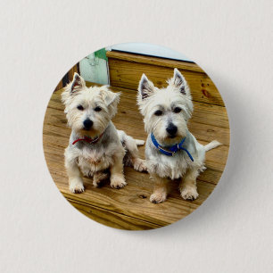 Badge Rond 5 Cm Transitoire et polaire