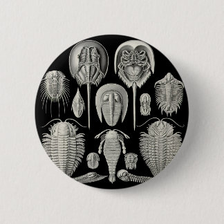 Badge Rond 5 Cm Trilobite !