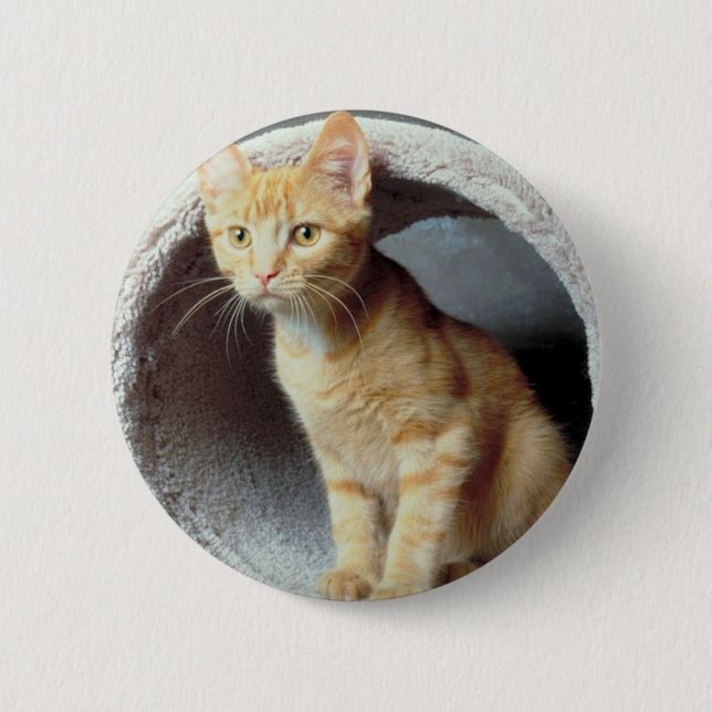 Badge Rond 5 Cm Tunnel de lecture Kitten (Devant)