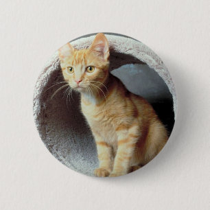 Badge Rond 5 Cm Tunnel de lecture Kitten