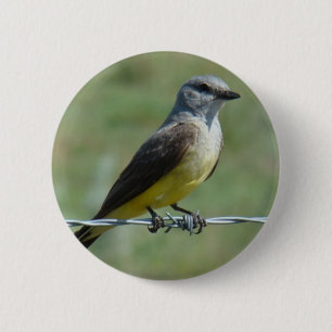 Badge Rond 5 Cm Tyran à bec épais de l'Ouest