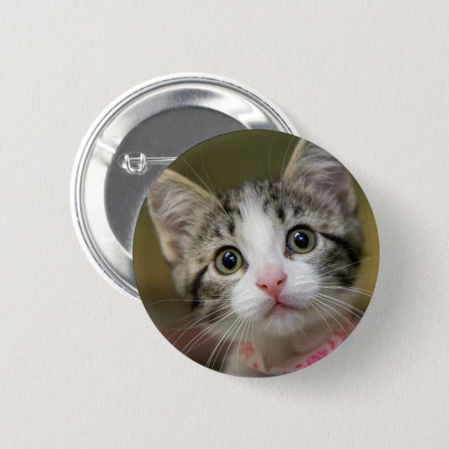 Badge Rond 5 Cm Un chaton mignon aux yeux verts (Devant & derrière)