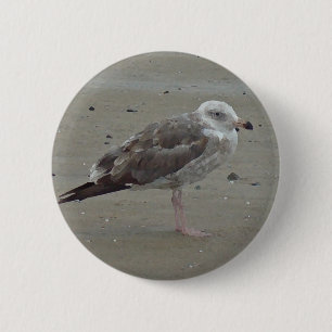 Badge Rond 5 Cm Un Oiseau de mer unique sur le sable