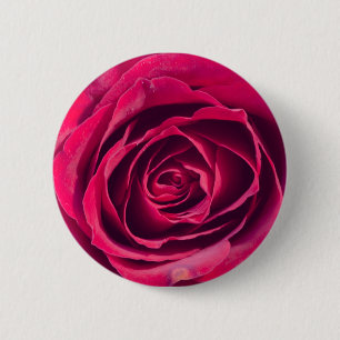 Badge Rond 5 Cm Un rose rouge