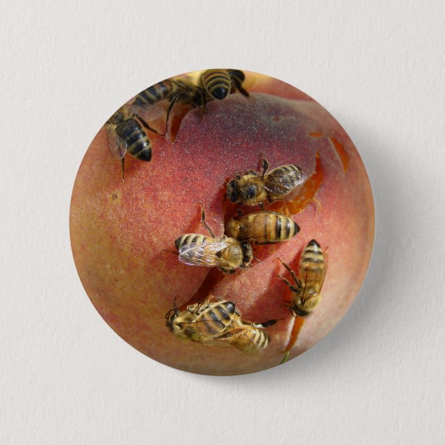 Badge Rond 5 Cm Une Pêche Pour Les Abeilles (Devant)