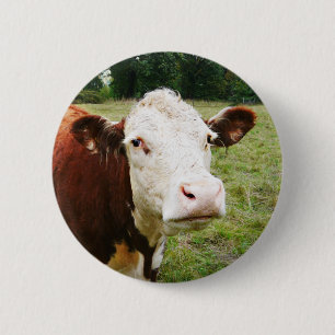 Badge Rond 5 Cm Vache de boucherie faite face blanche
