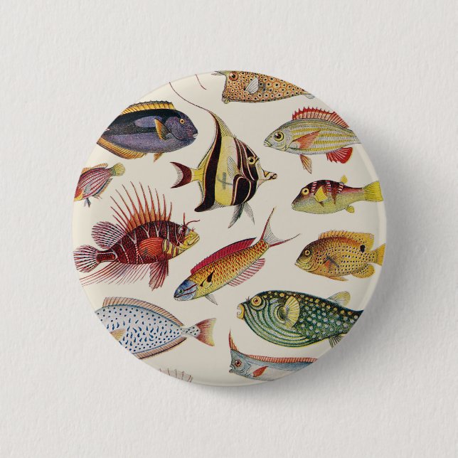 Badge Rond 5 Cm Variétés de poissons (Devant)