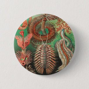 Badge Rond 5 Cm Vers, Annelids Chaetopoda par Ernst Haeckel