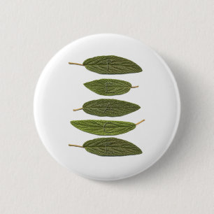 Badge Rond 5 Cm VIBIRNUM LA PAIX feuille
