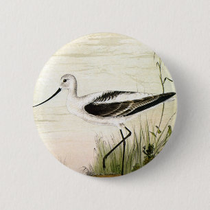 Badge Rond 5 Cm Vintage Marine Life Shorebirds, Avocet Birds