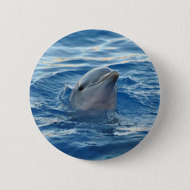 Badge Rond 5 Cm Visage dauphin en Océan mignonne Photo (Devant)
