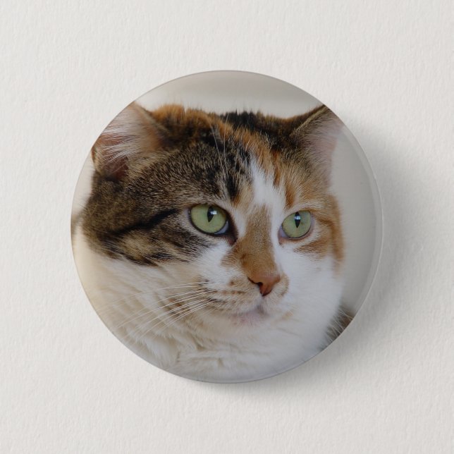 Badge Rond 5 Cm Visage de chat tigré de calicot (Devant)