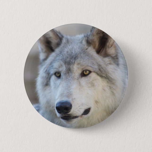 Badge Rond 5 Cm Visage de loup gris (Devant)