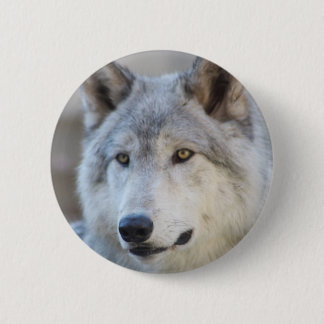 Badge Rond 5 Cm Visage de loup gris