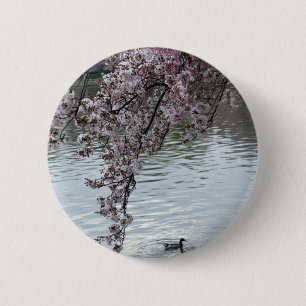 Badge Rond 5 Cm Washington DC de fleurs de cerisier