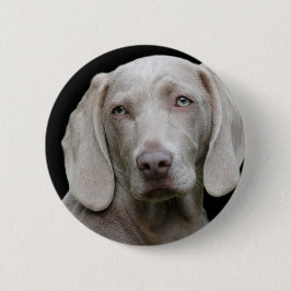 Badge Rond 5 Cm Weimaraner Silver Grey