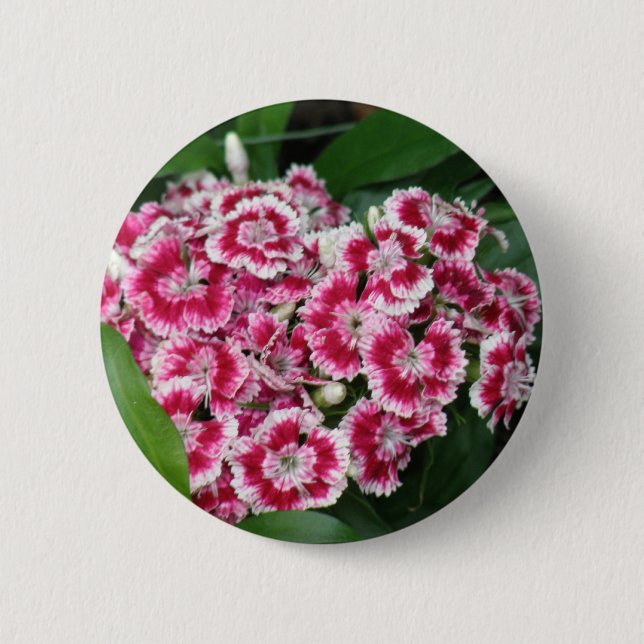 Badge Rond 5 Cm William doux fleurit autour du bouton (Devant)