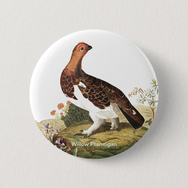 Badge Rond 5 Cm Willow Ptarmigan par John James Audubon Birder Bir (Devant)