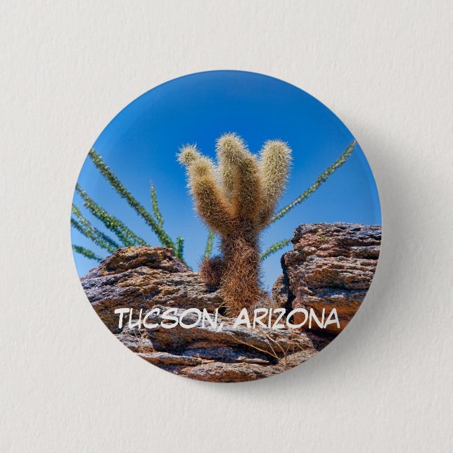 Badge Rond 5 Cm Young Teddy Bear Cholla Cactus, Tucson (Devant)