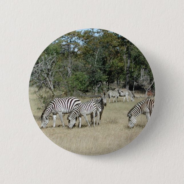 Badge Rond 5 Cm Zèbre (Devant)