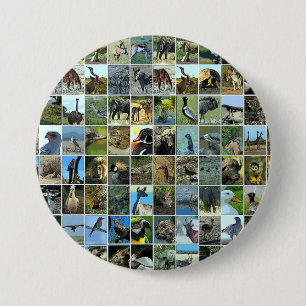 Badge Rond 7,6 Cm Animaux du monde