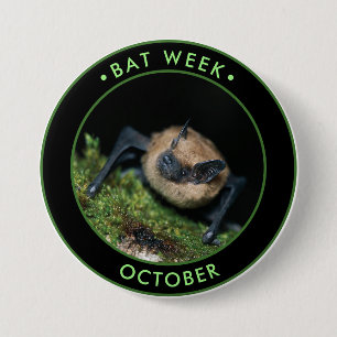 Badge Rond 7,6 Cm Bat Week, mignonne chauve-souris brune