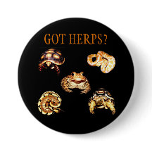 Bouton de Herps