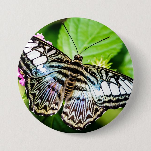 Badge Rond 7,6 Cm Bouton Papillon Clipper Bleu (Devant)