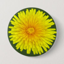 Bouton rond Dandelion été