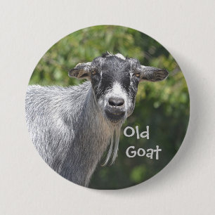 Badge Rond 7,6 Cm Bouton Vieux Chèvre