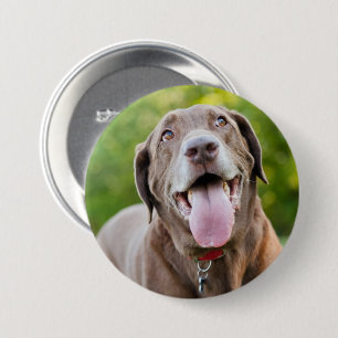 Badge Rond 7,6 Cm Chocolat Labrador Chien