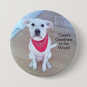 Badge Rond 7,6 Cm Douce Chien Chien Chien Chien Visage Bonté dans le