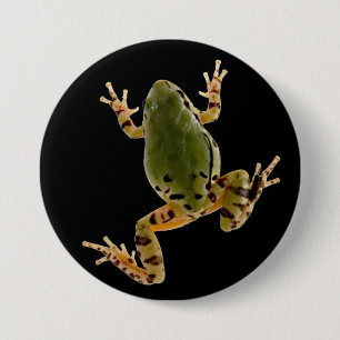 Badge Rond 7,6 Cm Escalade Arizona Tree Frog Photographie