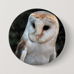 Badge Rond 7,6 Cm Hibou de grange blanc