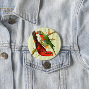 Badge Rond 7,6 Cm Illustration Vintage colorée de perroquets rouges