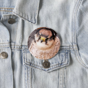 BADGE ROND 7,6 CM LANNER FALCON