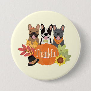 Badge Rond 7,6 Cm Merci Bulldogs français Thanksgiving