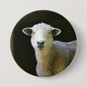Badge Rond 7,6 Cm Mouton de campagne