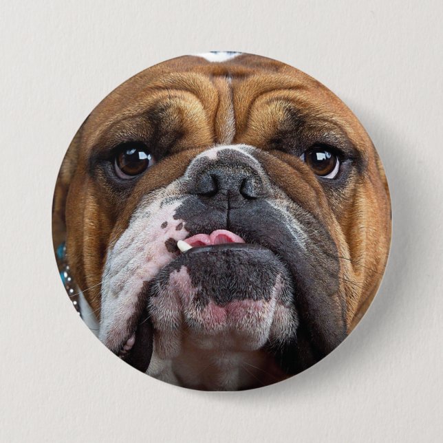 Badge Rond 7,6 Cm Oreillers à lancer de Bulldog anglais (Devant)