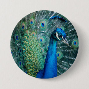 Badge Rond 7,6 Cm Paon, grand bouton
