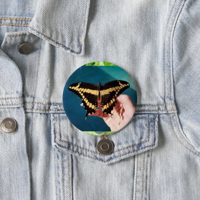 Badge Rond 7,6 Cm Papillon swallowtail géant (En situation)