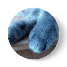 Patitas
