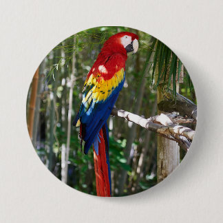 Badge Rond 7,6 Cm Perroquet renversant d'ara d'écarlate