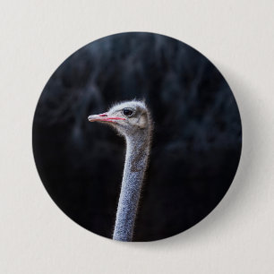 Badge Rond 7,6 Cm Photographie d'autruche