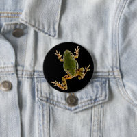 Photographie de grenouille arboricole de l'Arizona