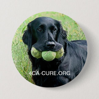 Badge Rond 7,6 Cm Pin rond de Casey