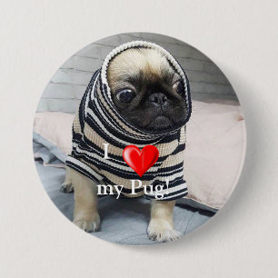 Badge Rond 7,6 Cm Pug puppy