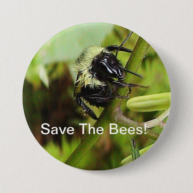Badge Rond 7,6 Cm Sauvez le bouton d'abeilles (Devant)