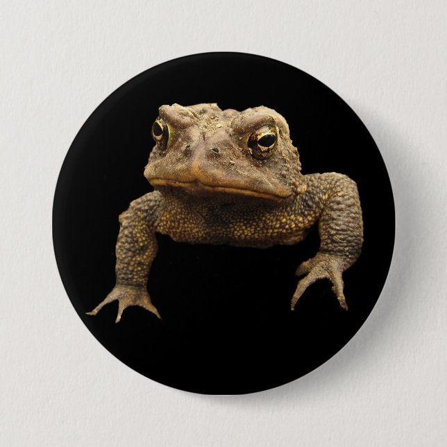 Badge Rond 7,6 Cm Toad américain (Devant)